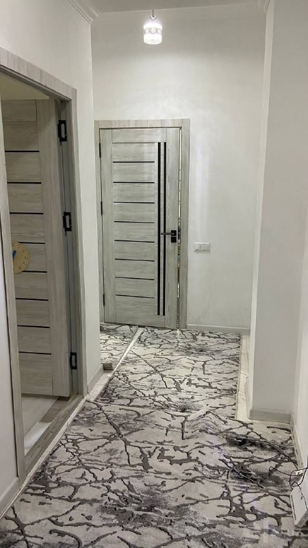 Sergeli ✅